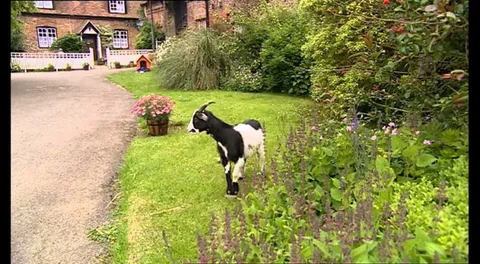 Unlock Urban Farm Magic in KL: A Complete Visitor’s GuideWhy Farm in the City Captivates Travelers