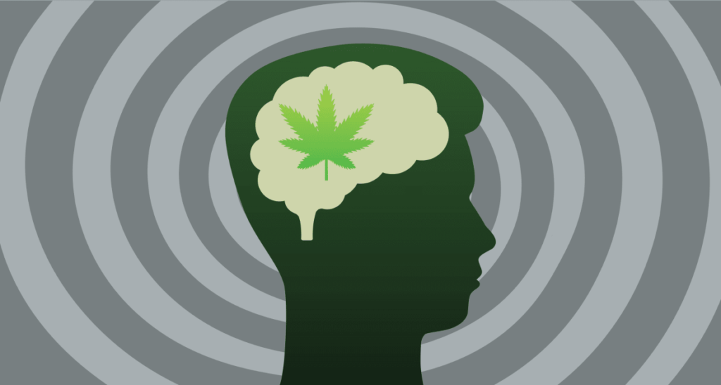High Minds, Hidden Risks: Understanding How Weed Impacts Mental Health